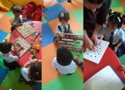Activity 5